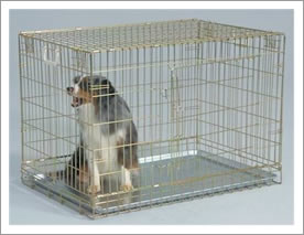 Galvanized Steel Wire Cages for Dogs