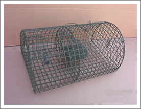 Metal Cages for Catching Mouse